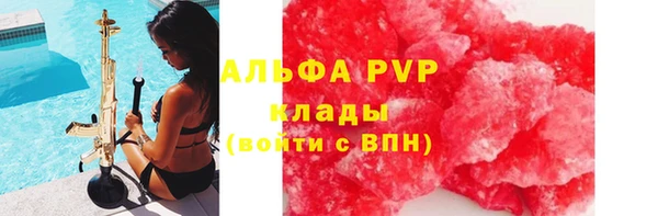 хмурый Алексин