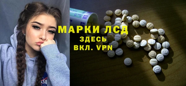 хмурый Алексин
