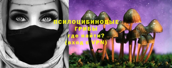 jwh Алзамай