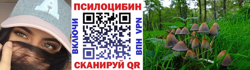 Псилоцибиновые грибы MAGIC MUSHROOMS  OMG зеркало  Кочубеевское 